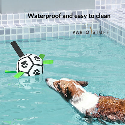 Variostuff - dog play ball