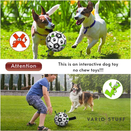 Variostuff - dog play ball