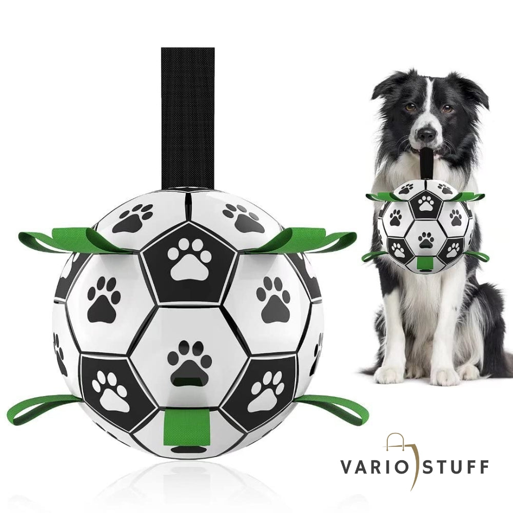 Variostuff - dog play ball